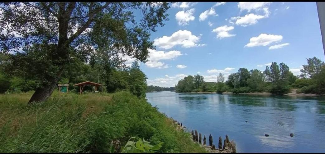 Appartement Drava 1 Donja Dubrava Bagian luar foto